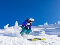 FB体育官方网站-石宇奇惊艳四座，韩国队完胜印度队—羽坛新格局下的技战术启示